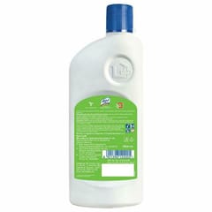 Lizol Pine Disinfectant Surface Cleaner (500 ML)