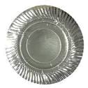 Paper Plate Big (12)