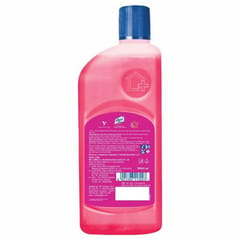 Lizol Floral Disinfectant Surface Cleaner