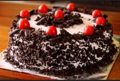 Black Forest (Normal)