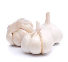 Garlic (பூண்டு)