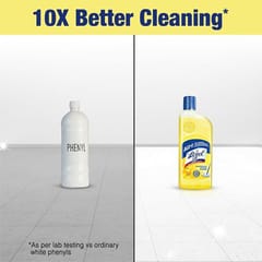 Lizol Citrus Disinfectant Surface Cleaner (500 ML)