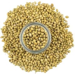 Coriander