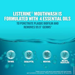 Listerine Cool Mint Mouthwash Liquid (250 ML)