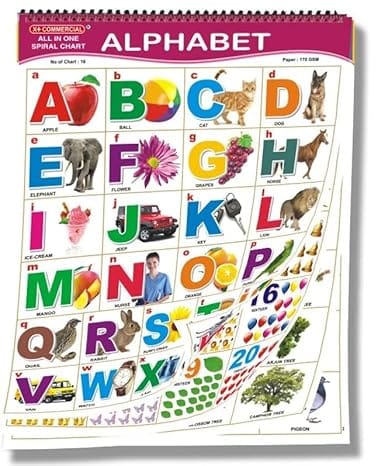 English Chart For Kids (16 Charts ) 37 x 48 cm - Children Spiral Wall Picture Chart - Multicolour